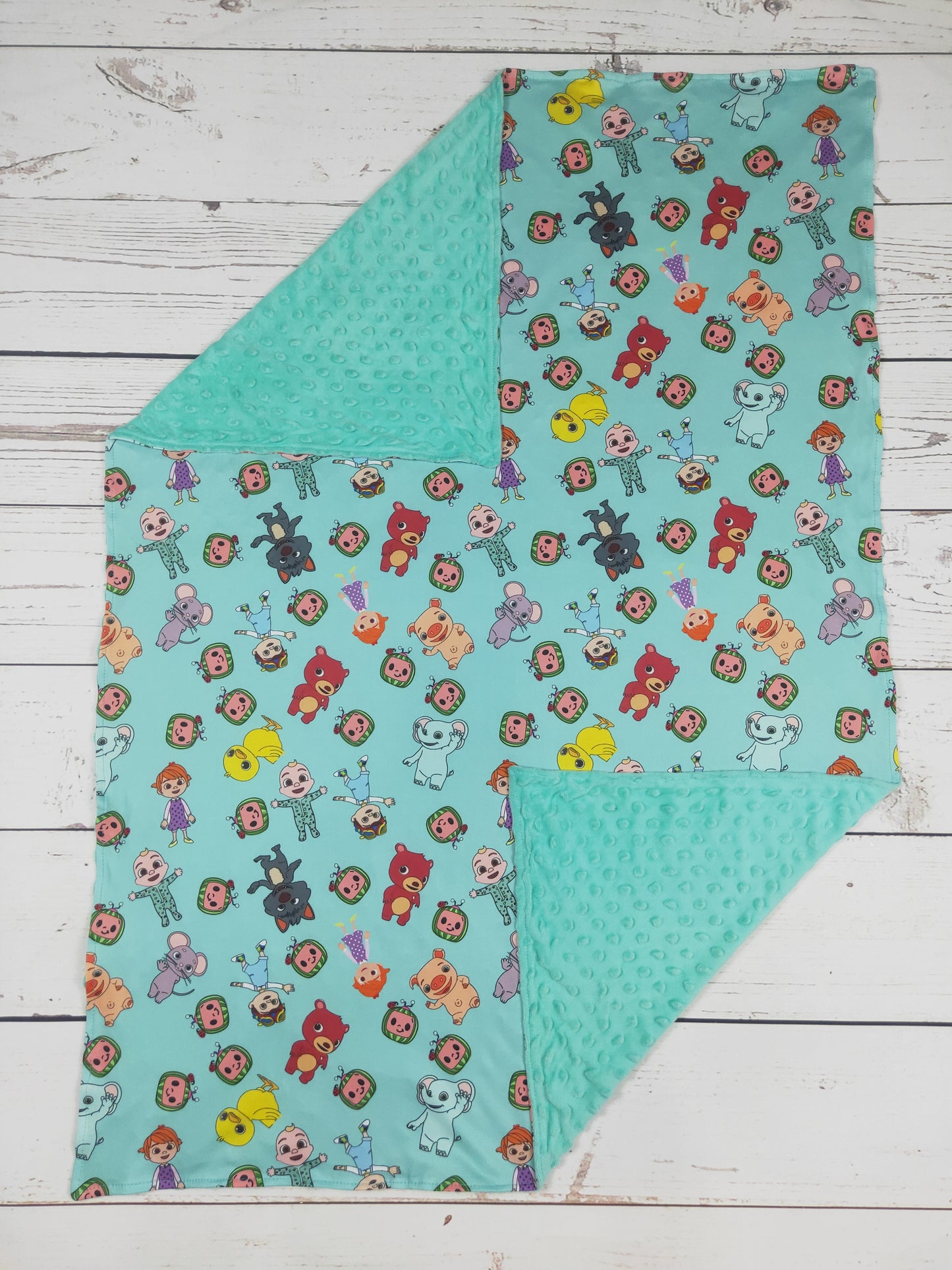 Baby Watermelon Character Print Blanket