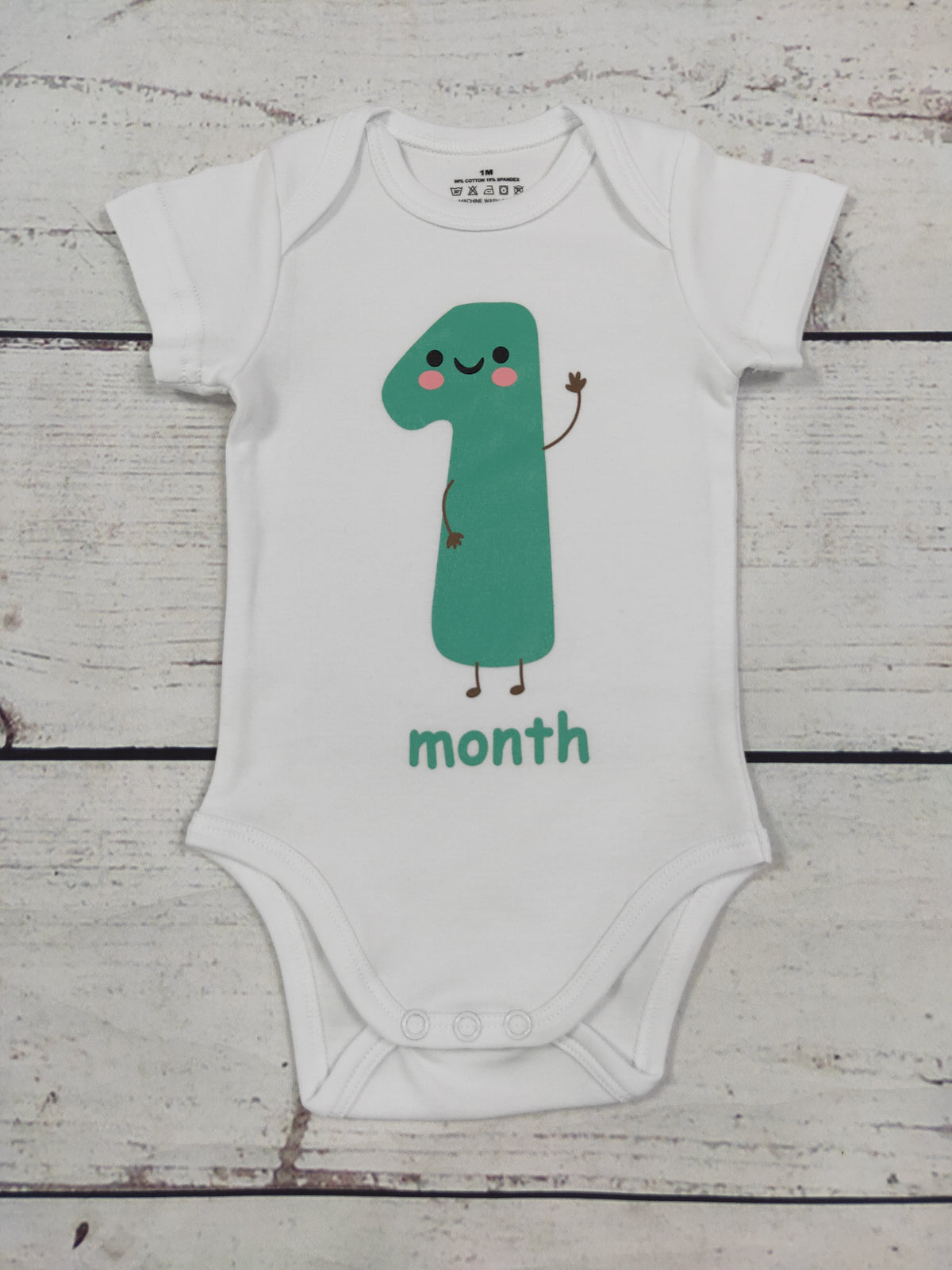 Infant Baby Monthly Milestone Onesies
