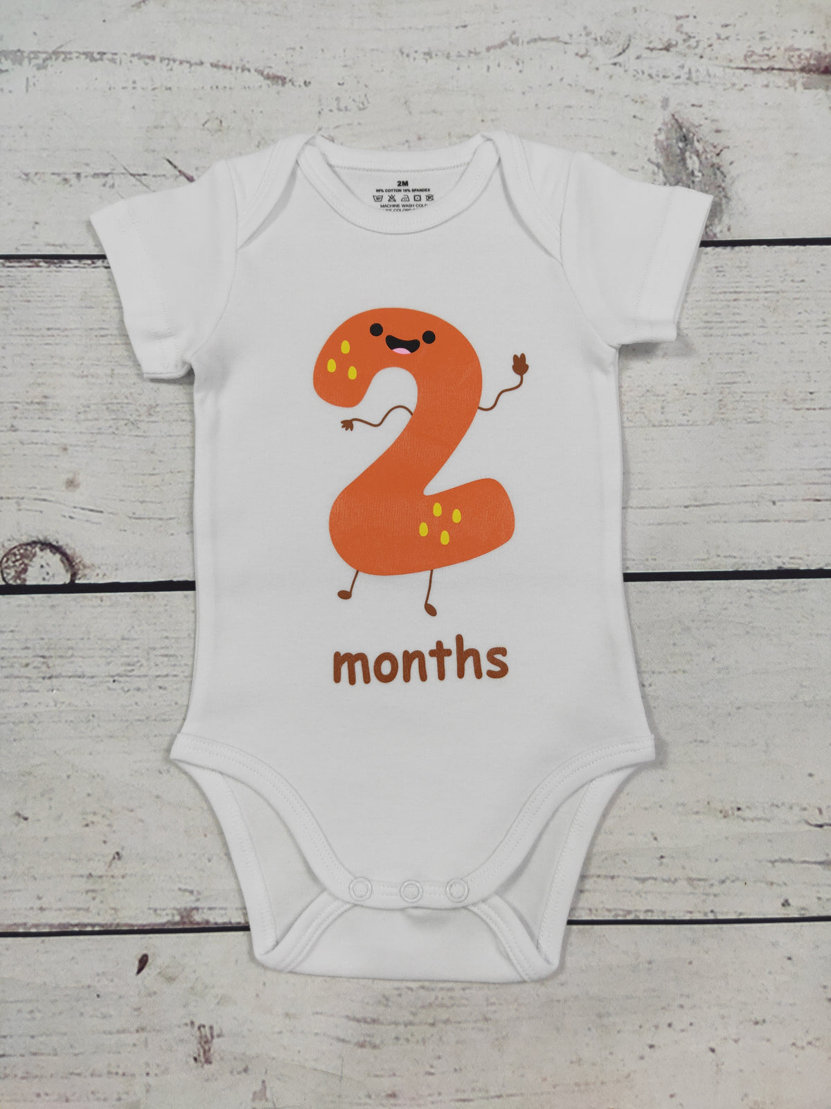 Infant Baby Monthly Milestone Onesies