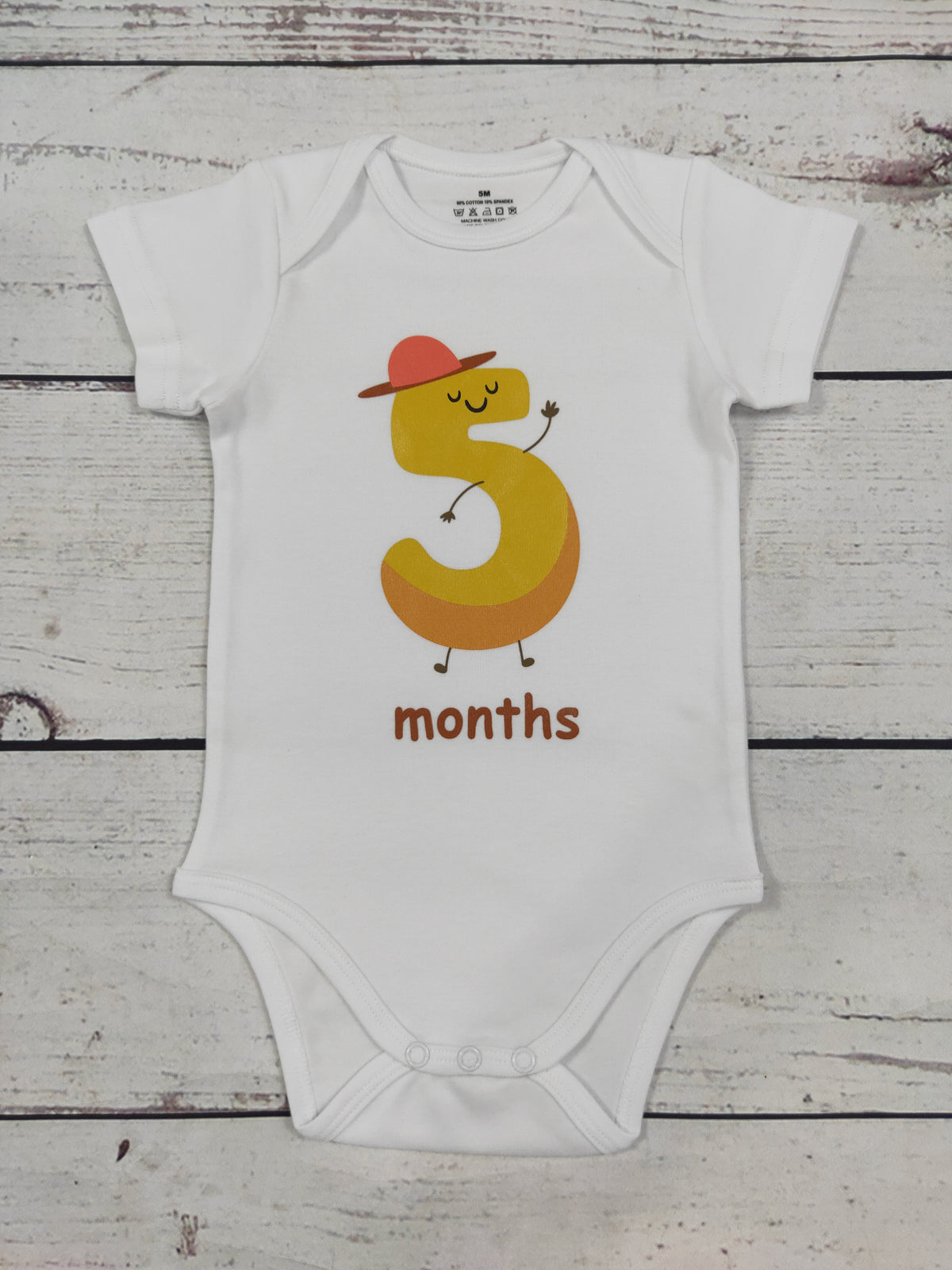 Infant Baby Monthly Milestone Onesies