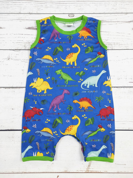 Baby Boys Dinosaur Printed Romper